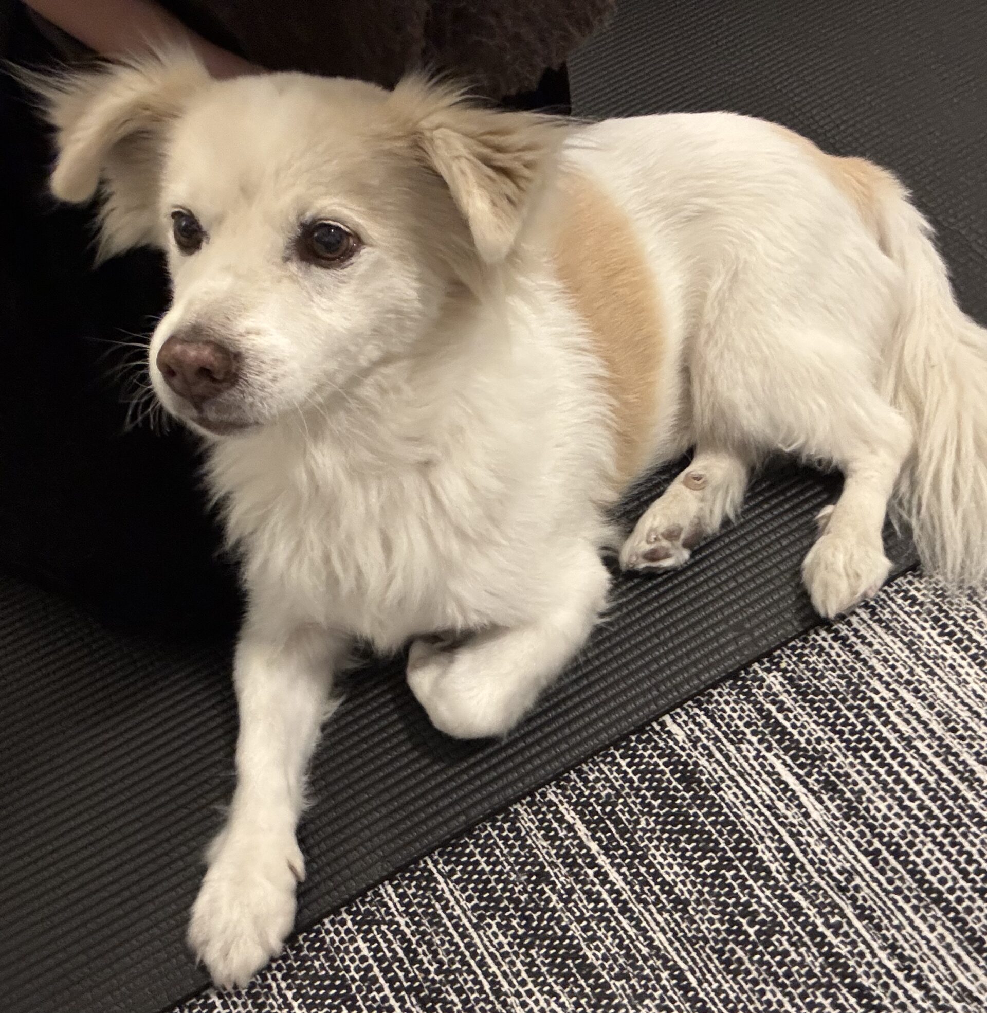 6536866b c245 4969 a9ef b03dc1bb3fa9